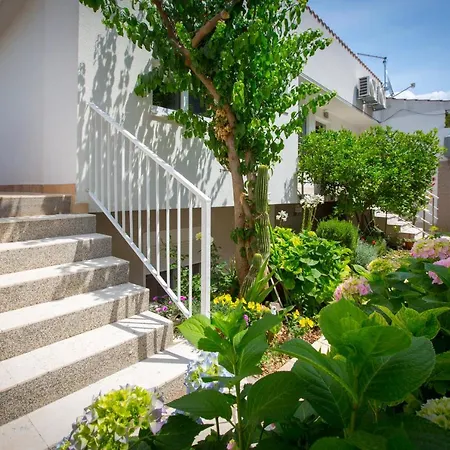 Apartment Apartmans And Studios Ana *